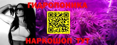 сатива Краснознаменск