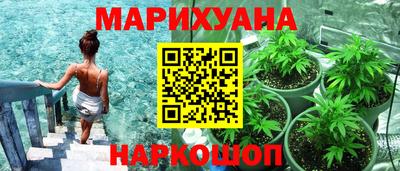 сатива Краснознаменск