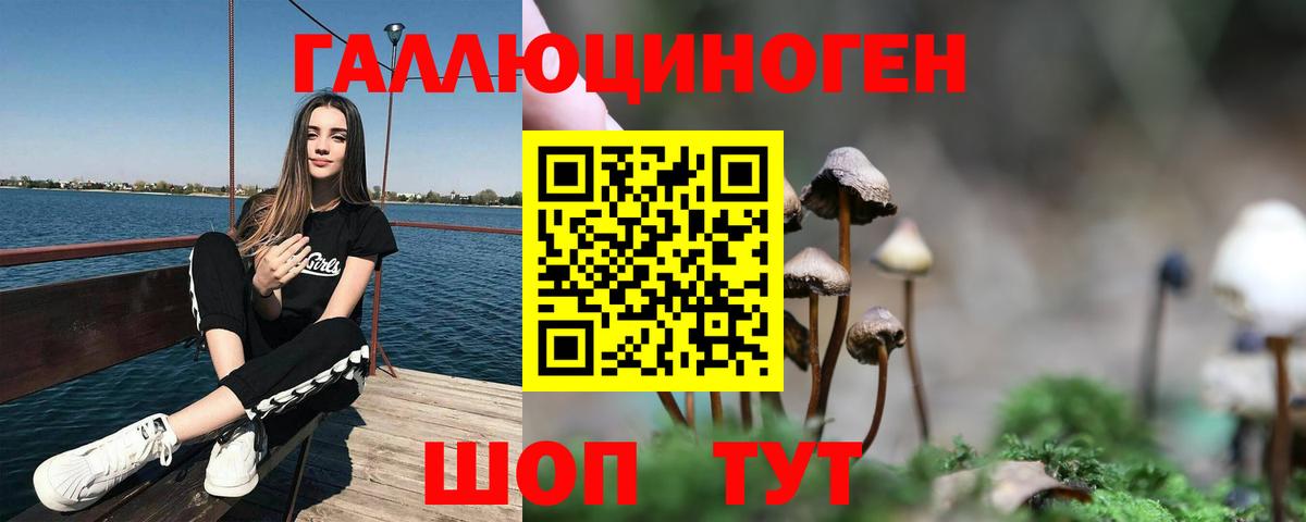 Клин  Галлюциногенные грибы мухоморы  Вход с VPN 